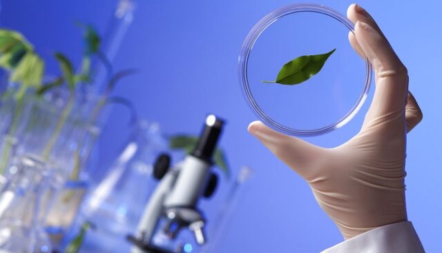 Синтетична біологія: створення живих систем з нуля для нових медичних, промислових та екологічних застосувань